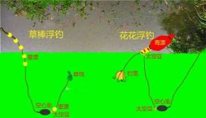 化绍新钓草鱼技巧解析