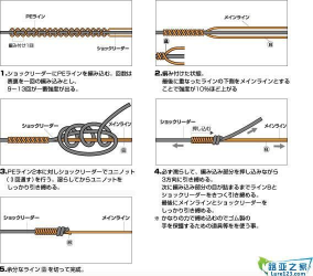 鱼线和羽毛球线哪个结实 自己绑鱼线好还是成品的好