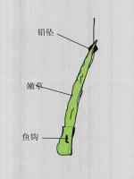 鲤鱼草鱼爆炸钩饵料配方 用草钓草鱼怎么装钩