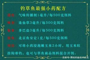 如何自制草鱼窝料：钓鱼达人的秘密武器