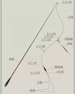 全面解析主线与子线的关系和作用，图解垂钓中的技巧要领