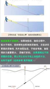 探究黑坑钓草鱼青鱼混养策略：从饵料、钓法到养殖管理全面解析