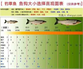 钓草鱼鱼钩离底多高 钓5-10斤草鱼用啥样鱼钩