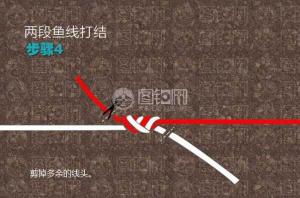 鱼主线断了如何快速有效地进行连接——实用方法与技巧