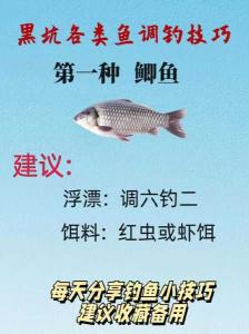 黑坑鱼不开口的原因及解决方法 黑坑钓草鱼怎么开饵料