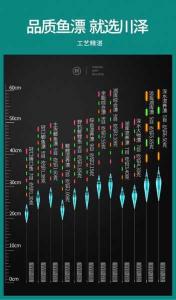 《渔具大全电子漂——为您解读各种类型的电子漂及其应用技巧》
