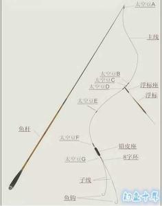 台钓主线影响：从细节到全局的全方位解析