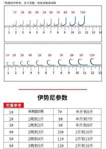 2.5主线能钓多大的鱼 钓鱼用1.5主线可以钓多大的鱼