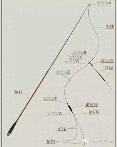 关于“主线25是否过粗”的探讨