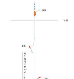 水库钓草鱼子线多长最合适 黑坑钓草鱼用4号子线可以吗