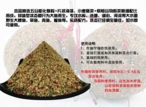 沙滩并继远投竿能钓大鲤鱼大草鱼 抛竿底钓草鱼鲤鱼青鱼